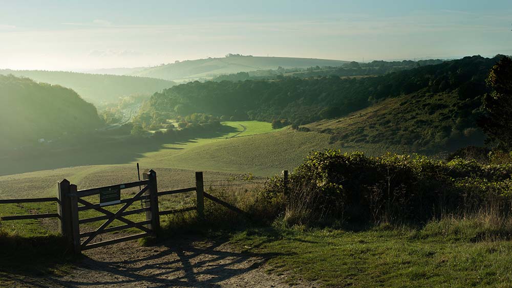 An early morning view over Butser Hill