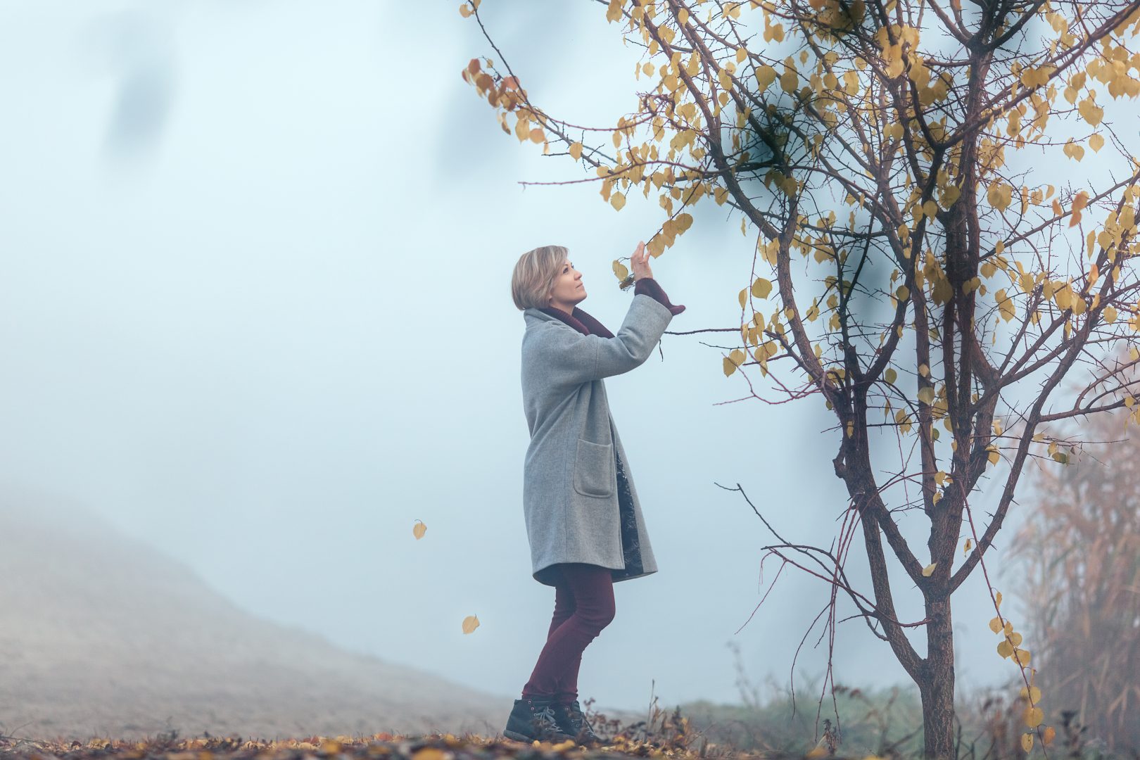 A lady practices mindfulness outdoors in winter by examining a leaf on a tree