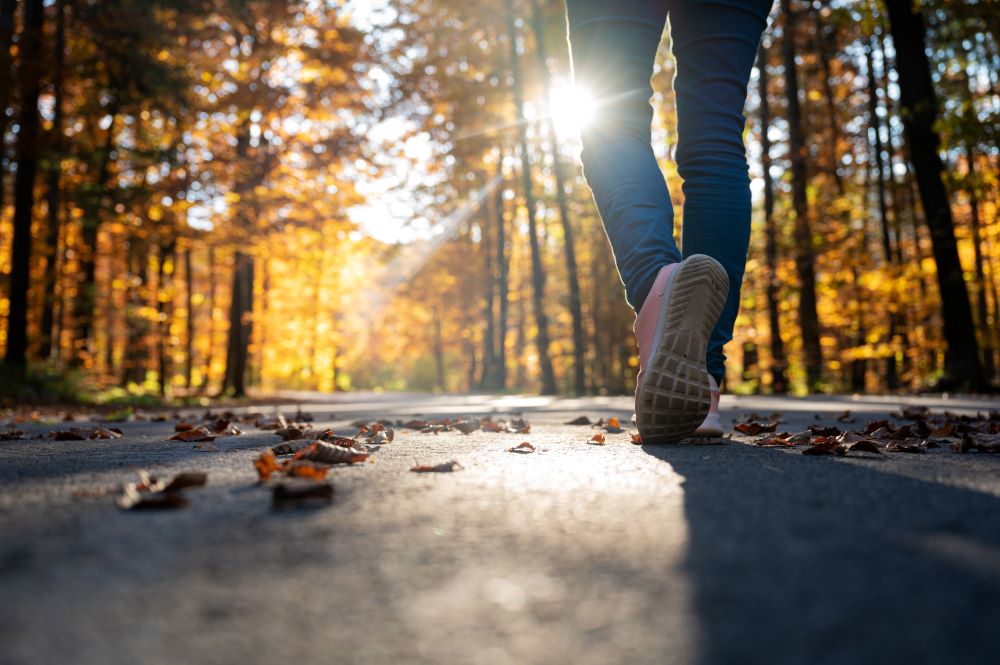 running in trees in autumn