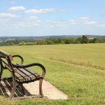 Goldsmiths - park bench in a field with a view