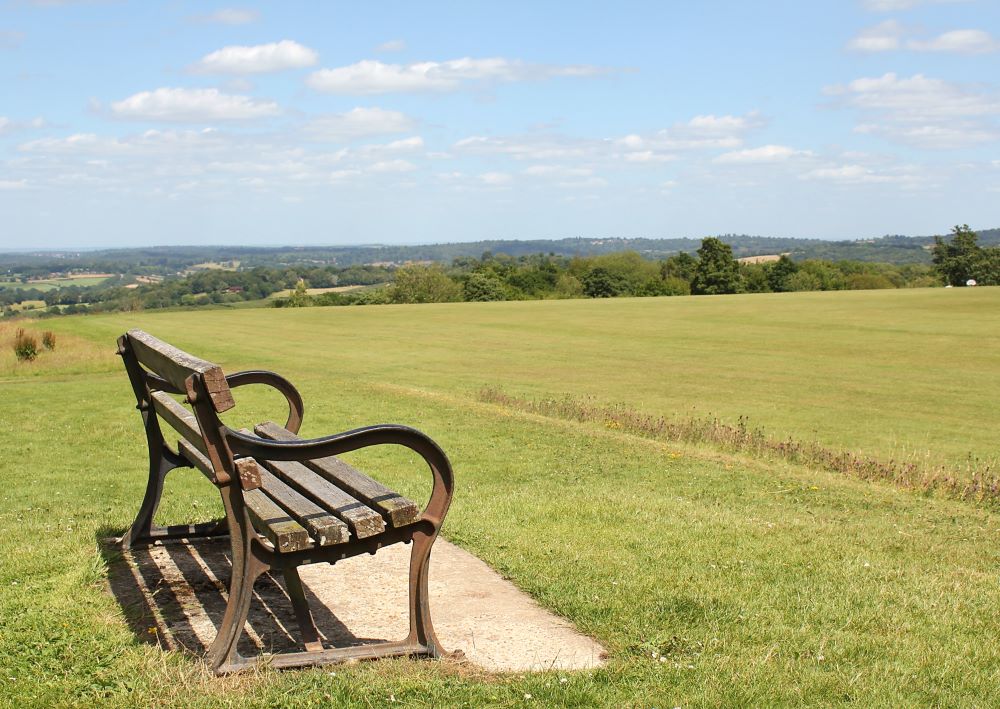 Goldsmiths - park bench in a field with a view