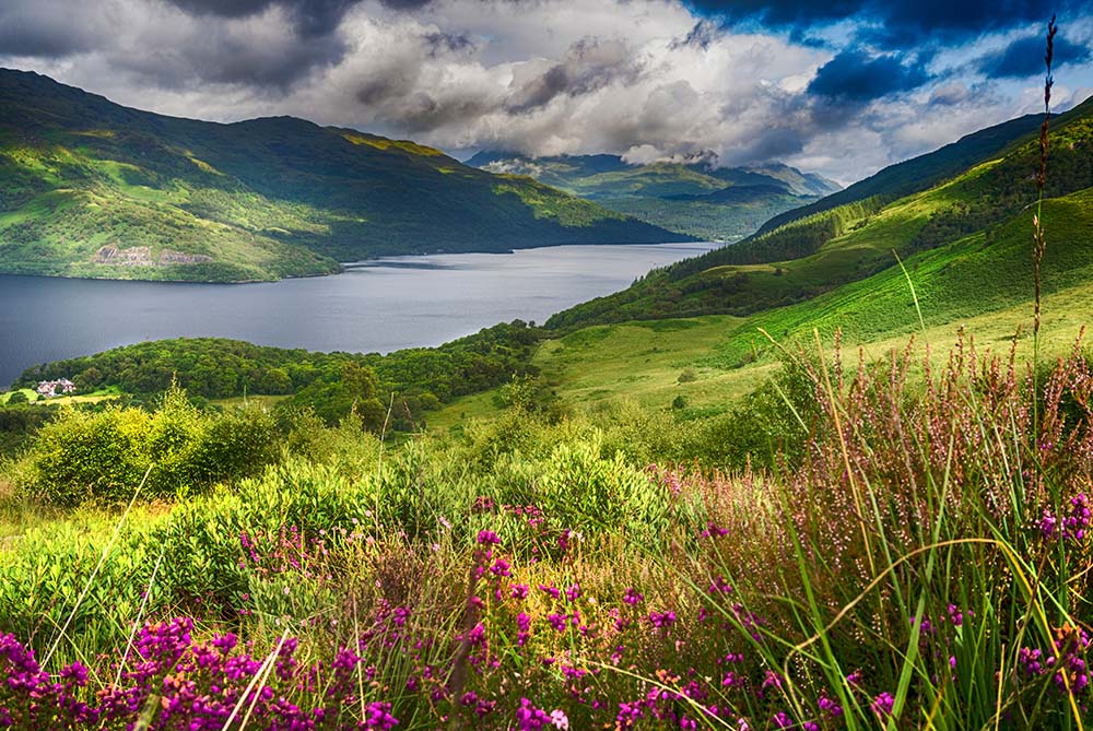 Loch Lomond from the Slopes of Ben Lomond