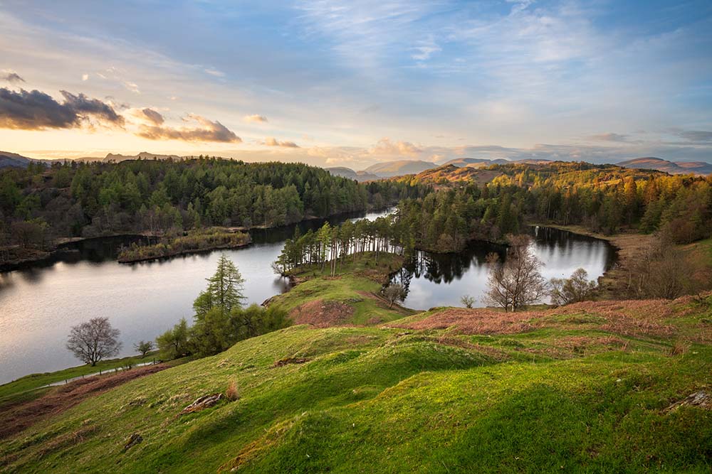 Golden hour at Tarn Hows near Ambleside on a calm Summer evening