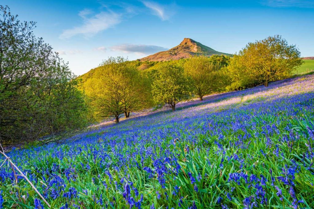 roseberry topping family walk route