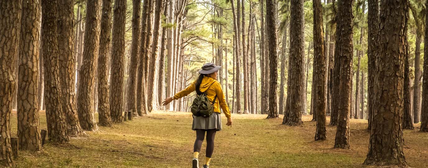 Woman walking down a tree lined path