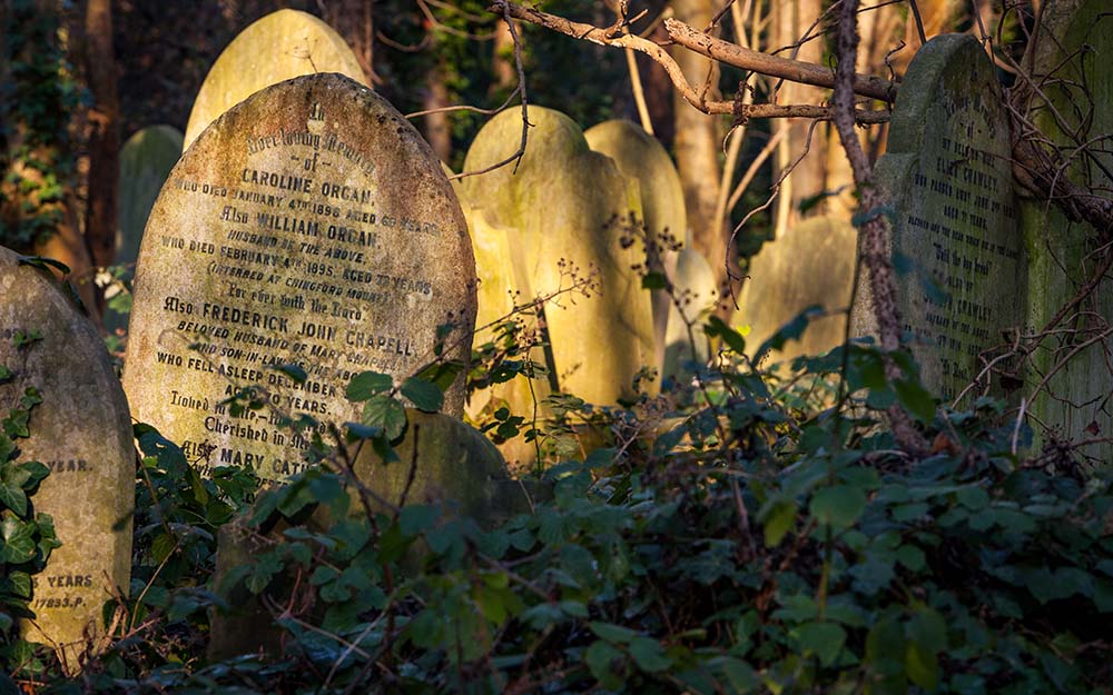 Cemetery: Forgotten grave stones