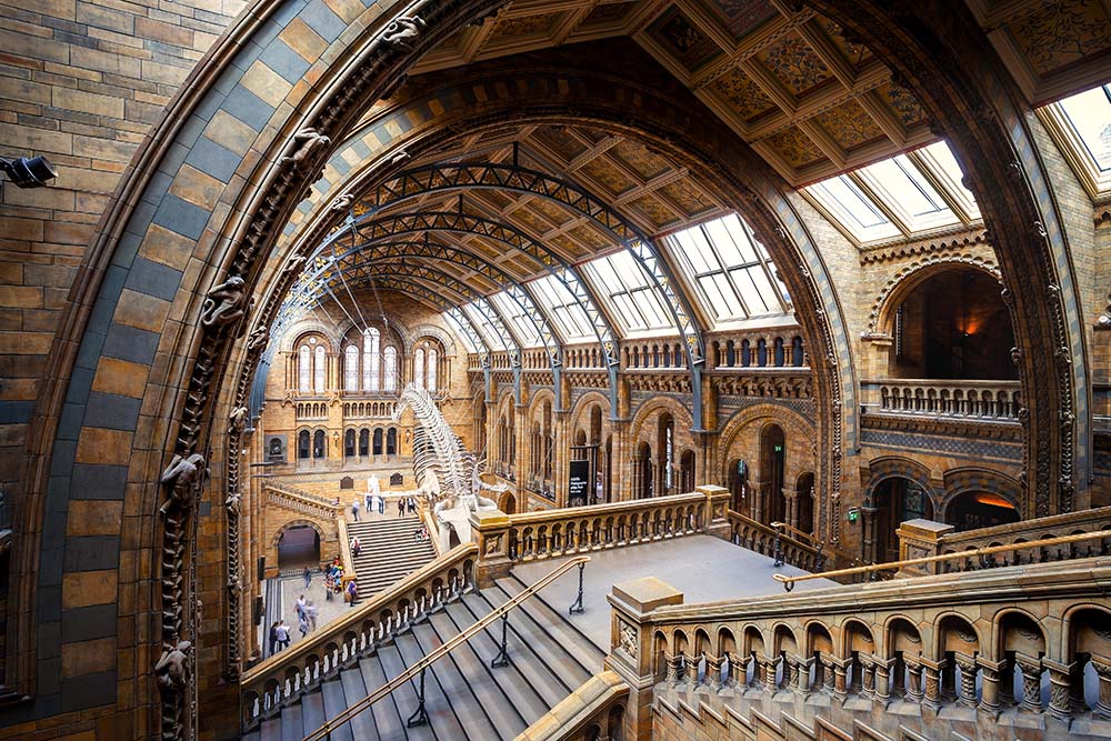 London, United Kingdom - May 14 2018: The Natural History Museum