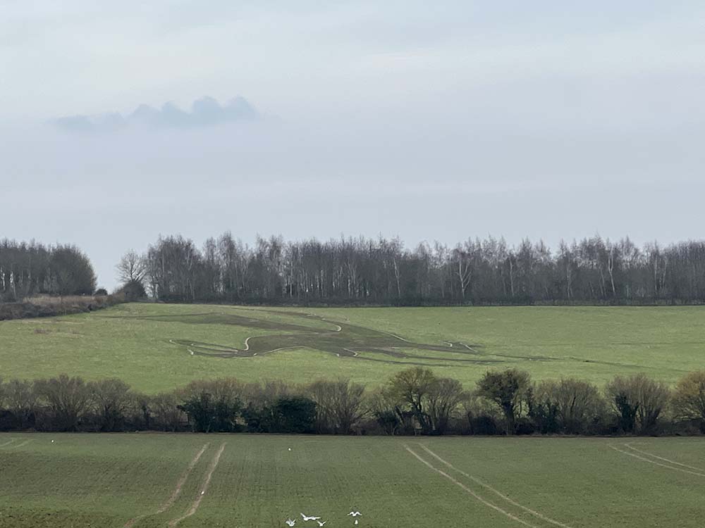 Bures Dragon limestone geoglyph