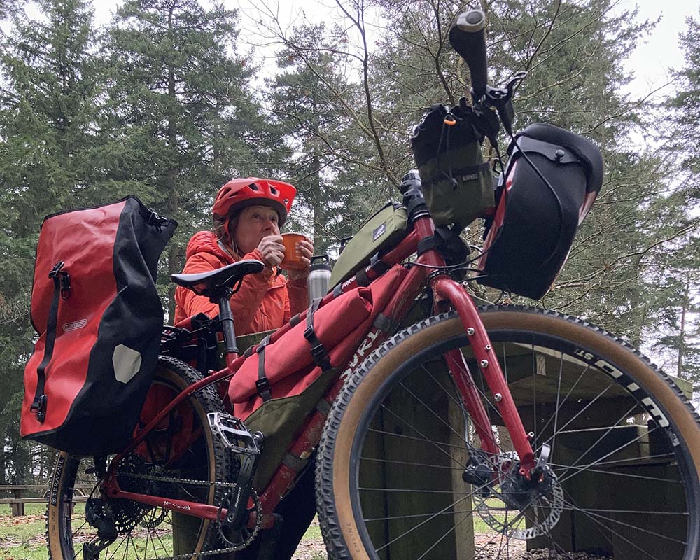 early cycle in the new forest