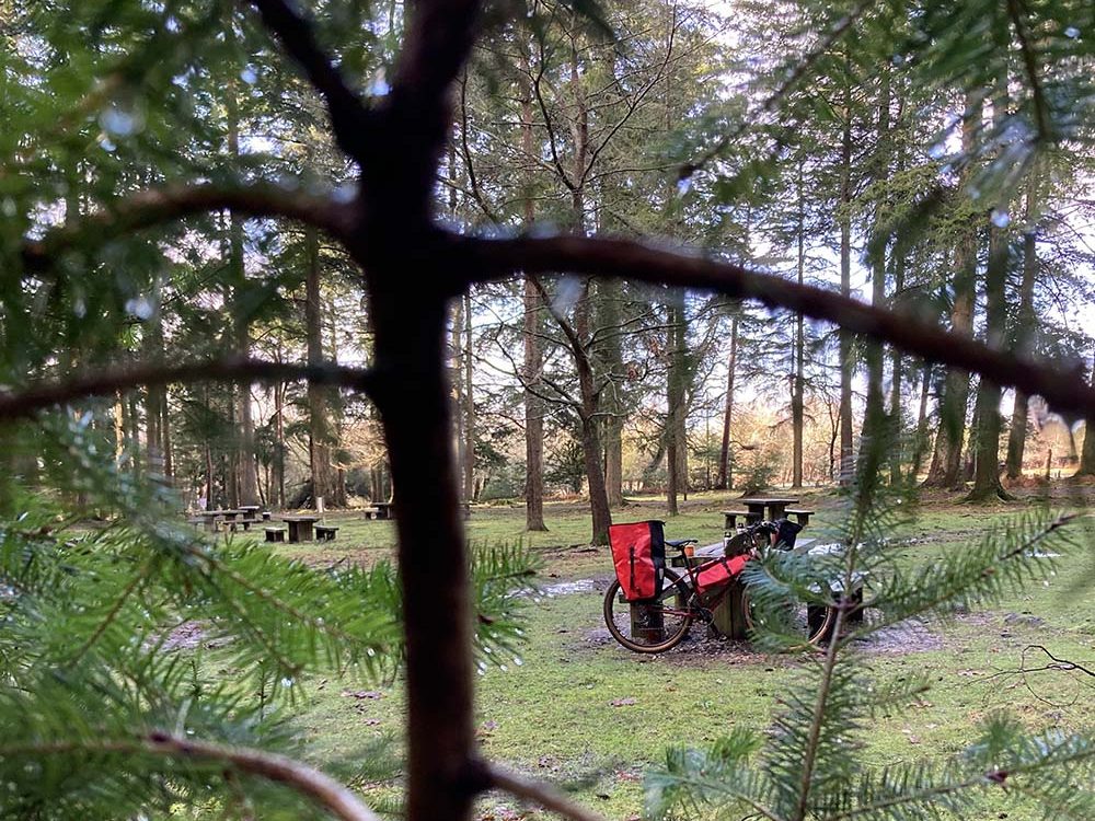 picnic benches in the forest