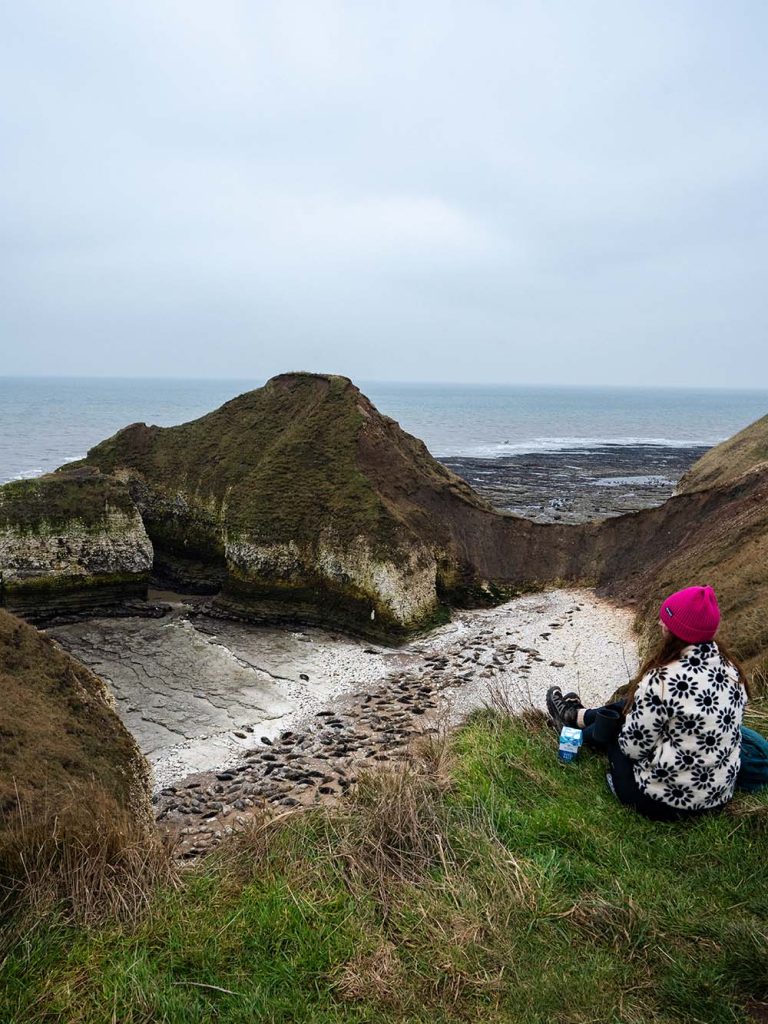 Flamborough Lighthouse - drinking dinosaur