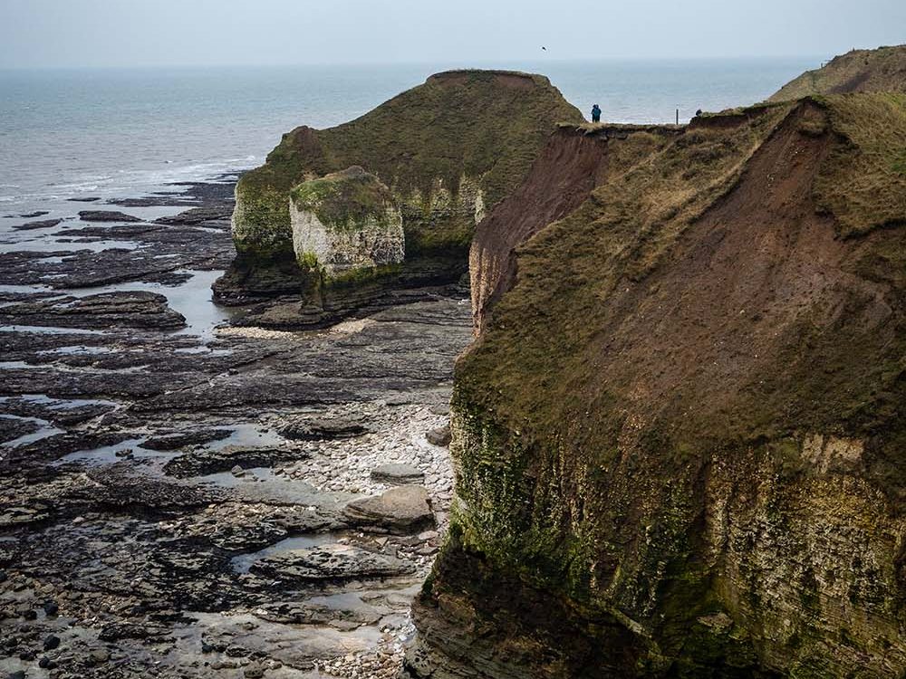 drinking dinosaur flamborough head