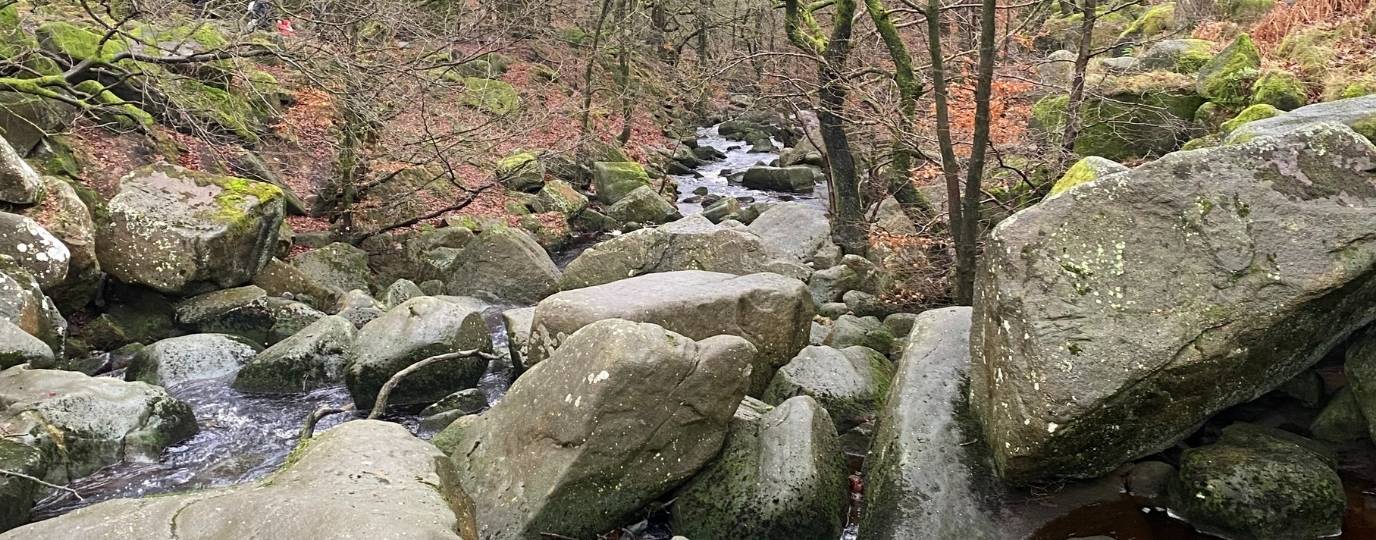 Padley Gorge