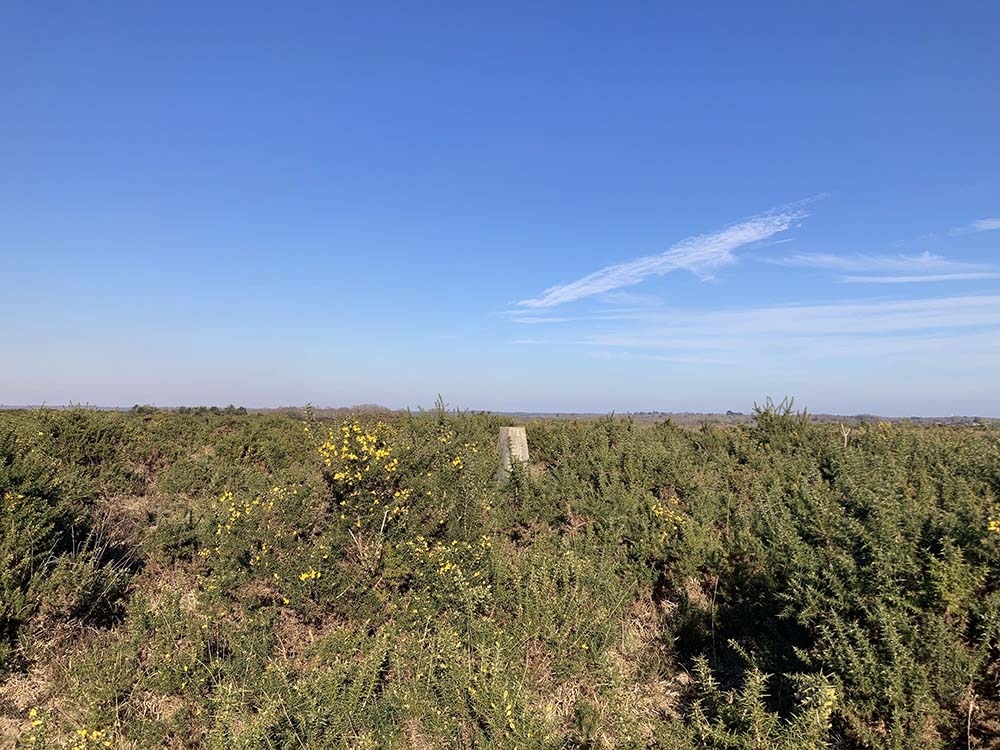 Trig Point Sway