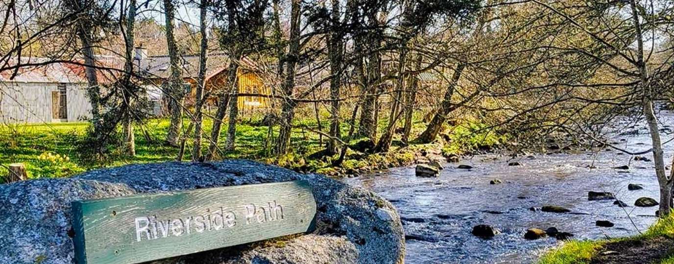 nethy bridge walk