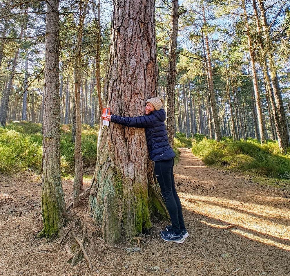 tree hugging