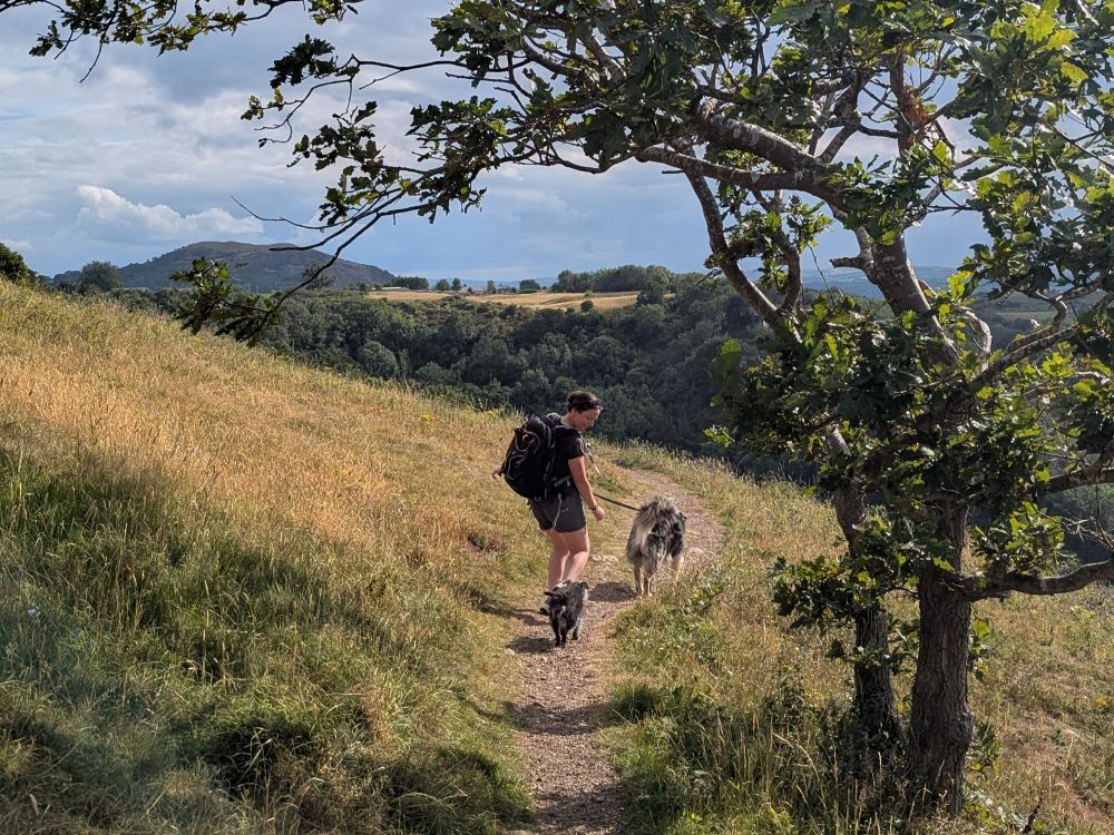 OS Content Editor Hilary Pullen with her two dogs Hiking on the Offa's Dyke