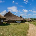 Buster Ancient Farm Roundhouses