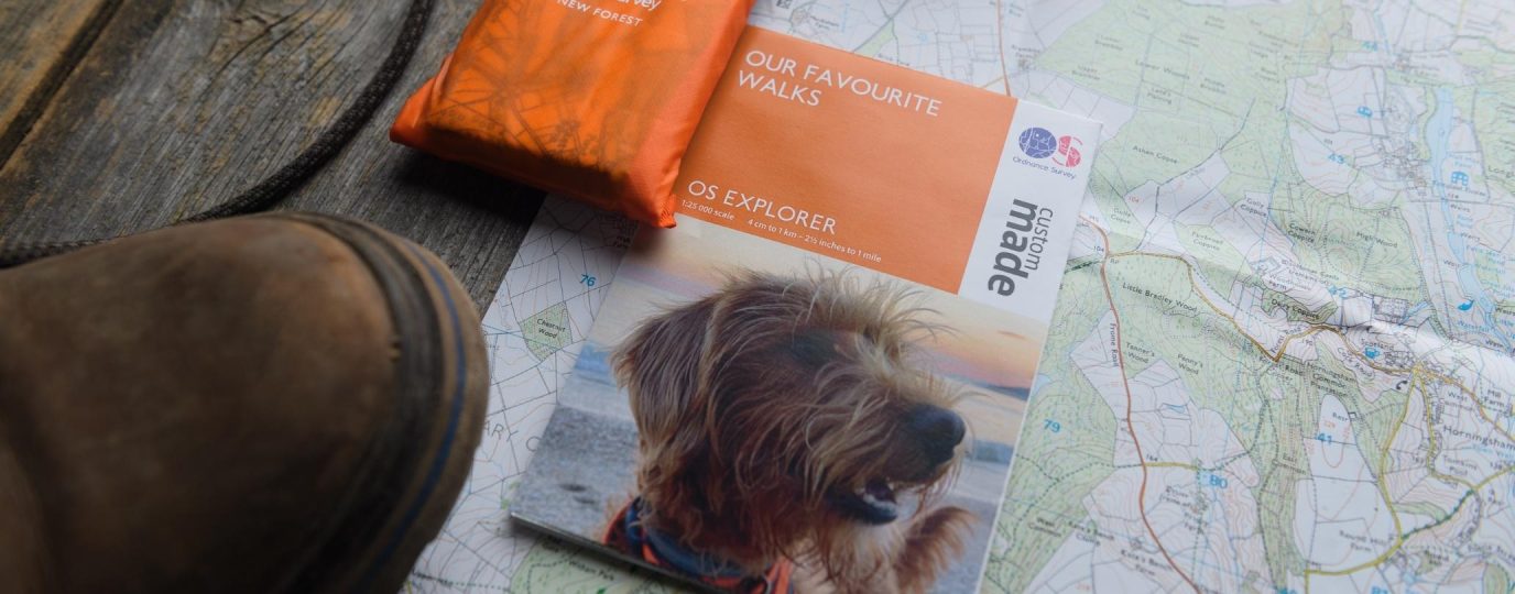 custom map with picture of your dog