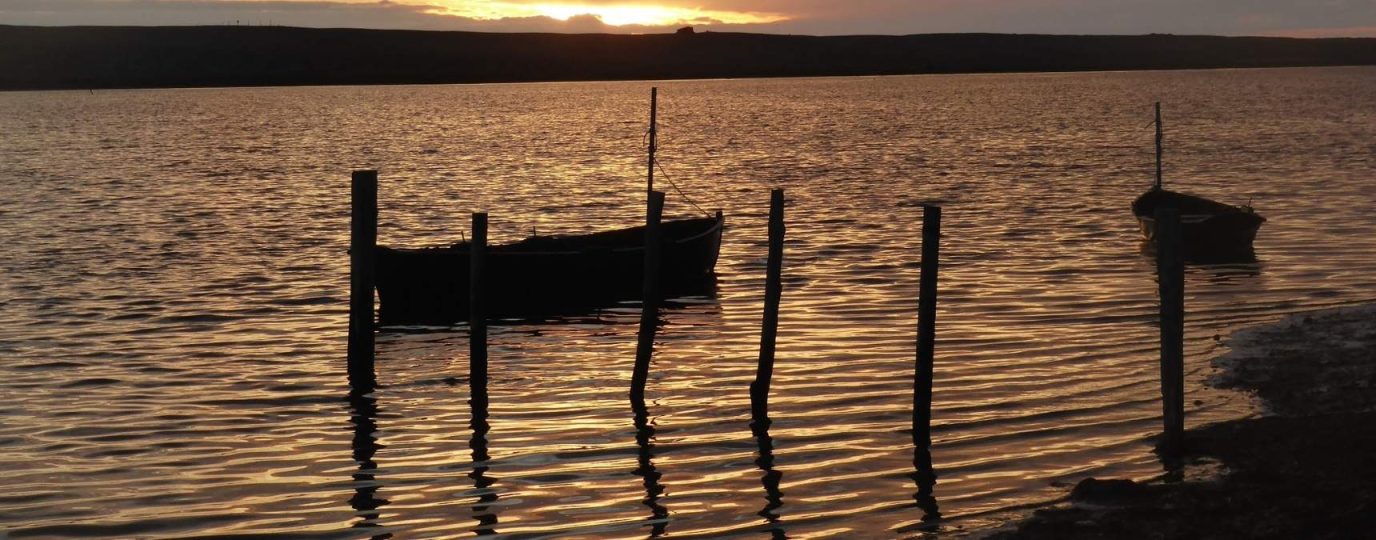 fleet at sunset