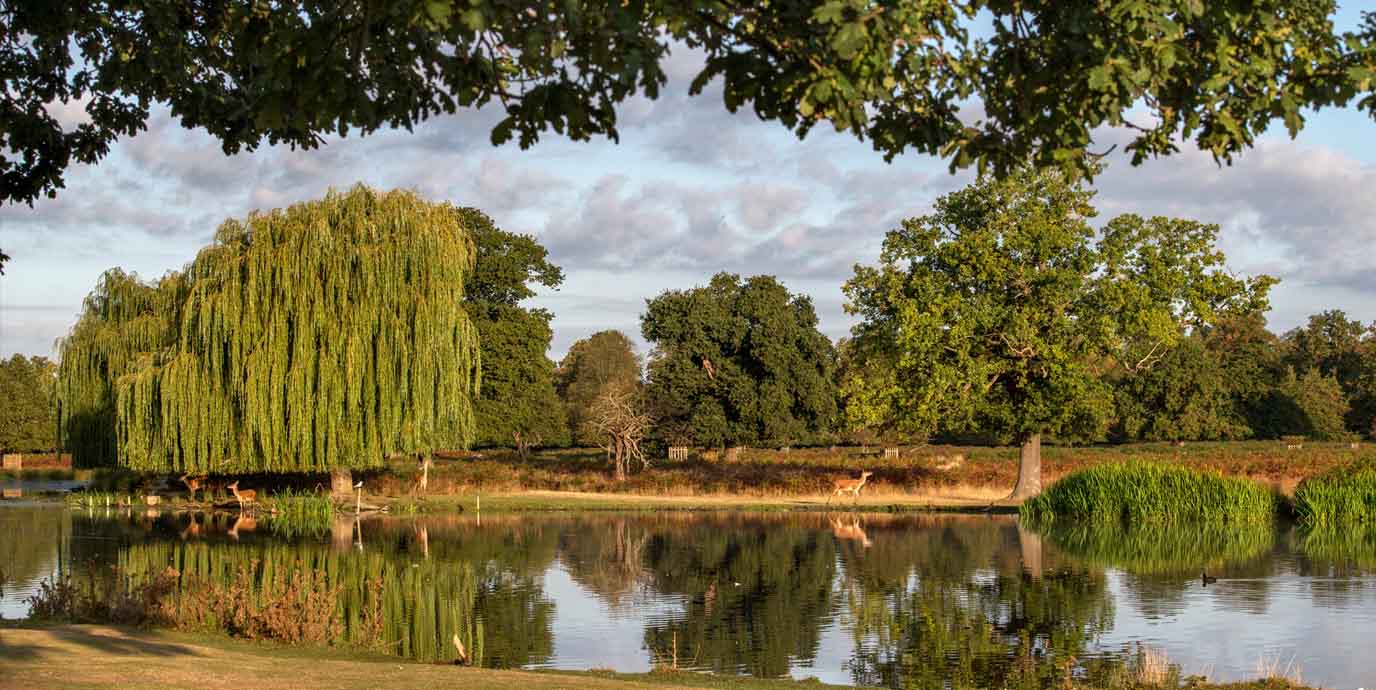 Bushy Park