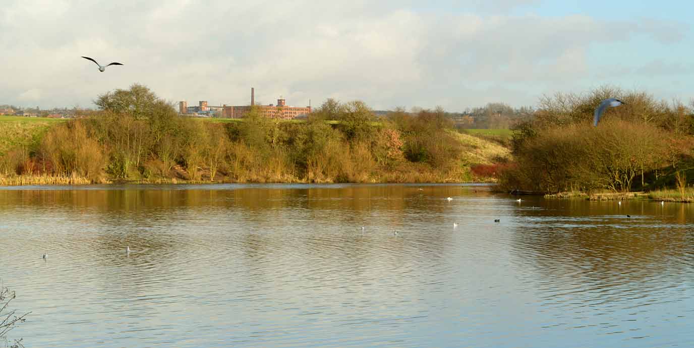 Crime Lake at Daisy Nook