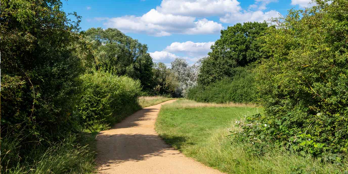 Hainault Forest