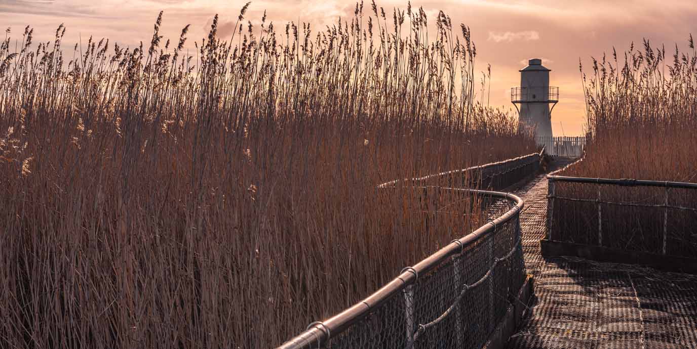 RSPB Newport Wetlands