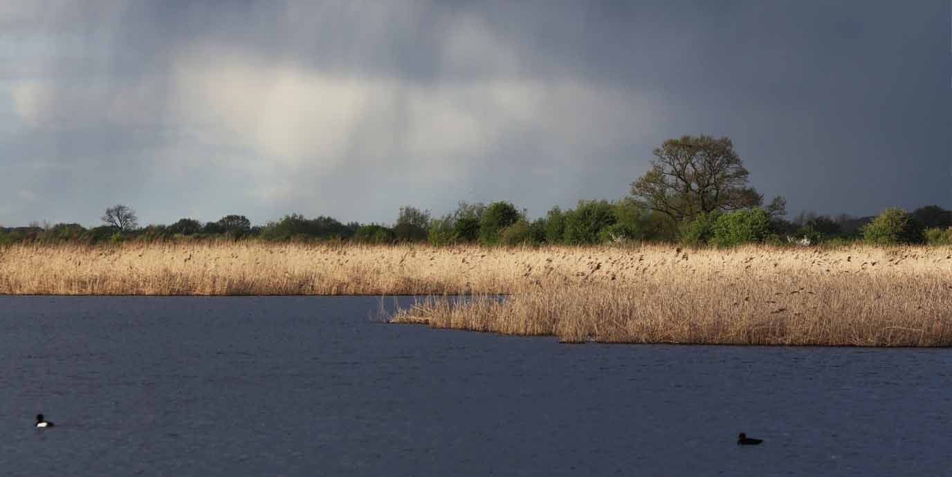 RSPB Otmoor Nature Reserve
