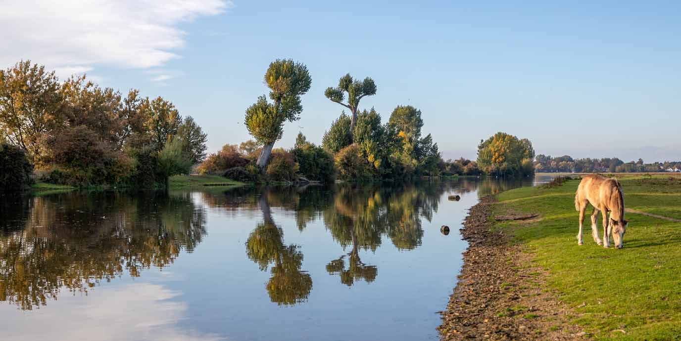 Port Meadow
