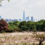 Richmond Park with London Skyline