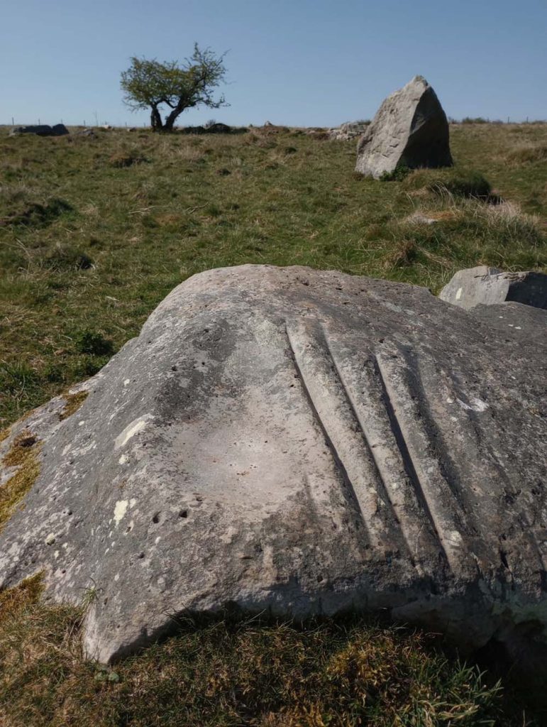 the polisher stone
