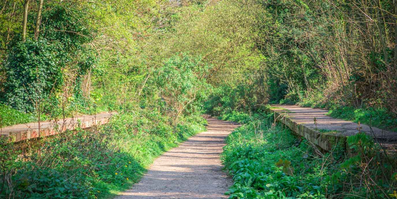 The Parkland Walk