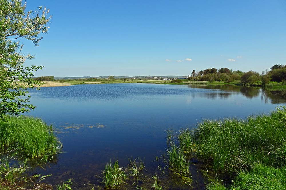 Llanelli pond