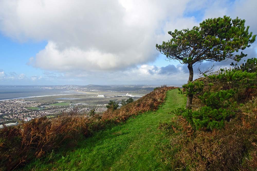 Mynydd Dinas