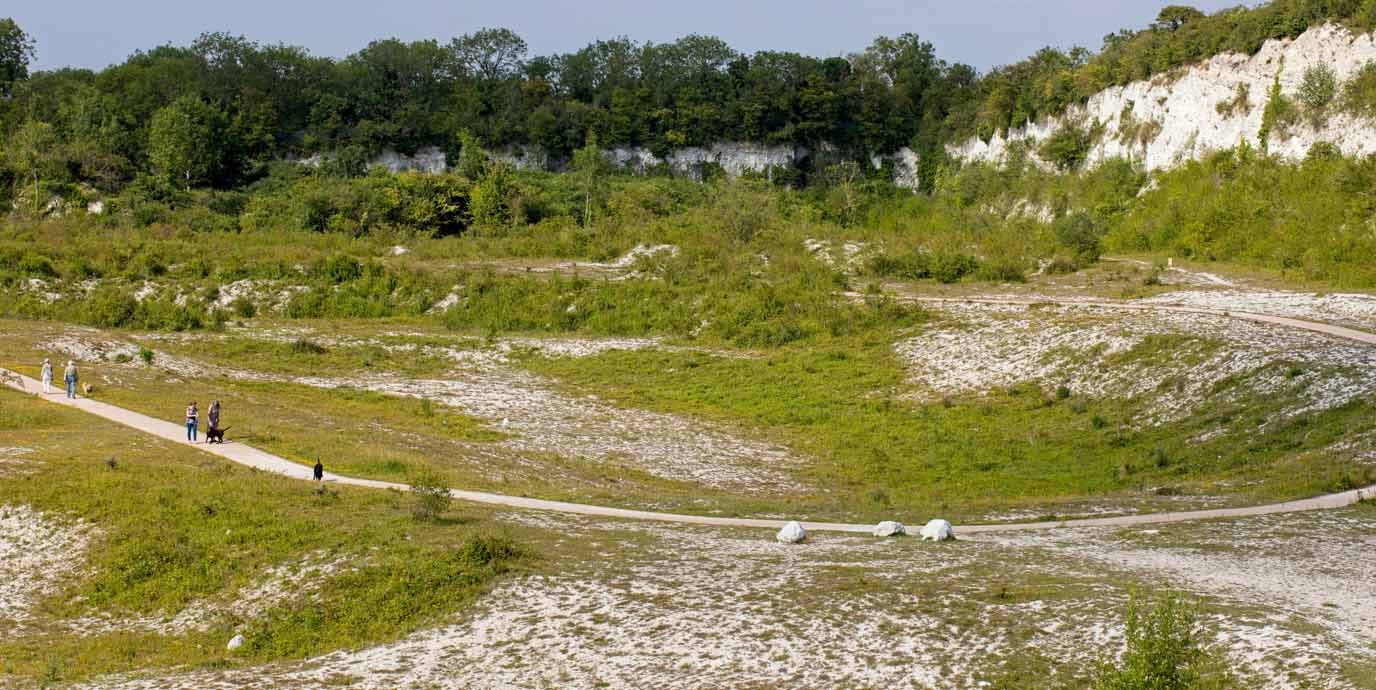 Cherry Hinton Chalk Pits