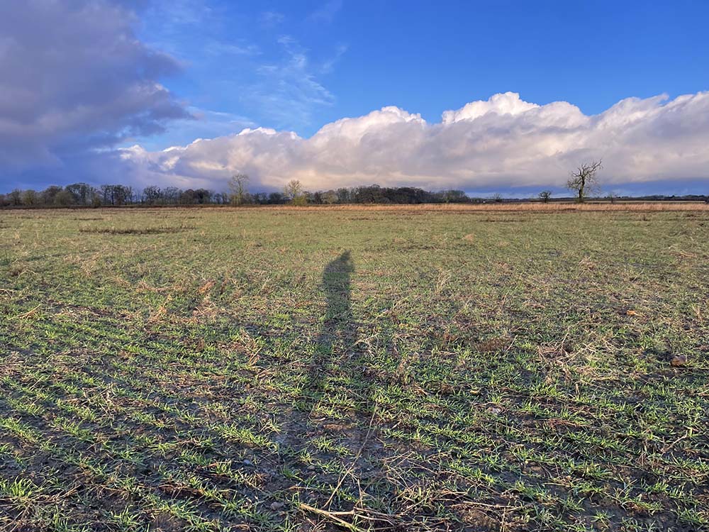lincolnshire shadows