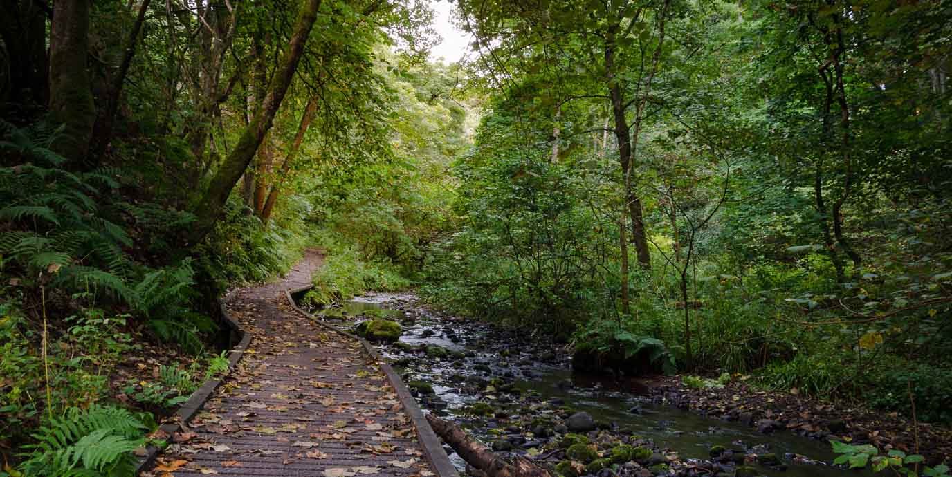 Fairy Glen, Rosemarkie