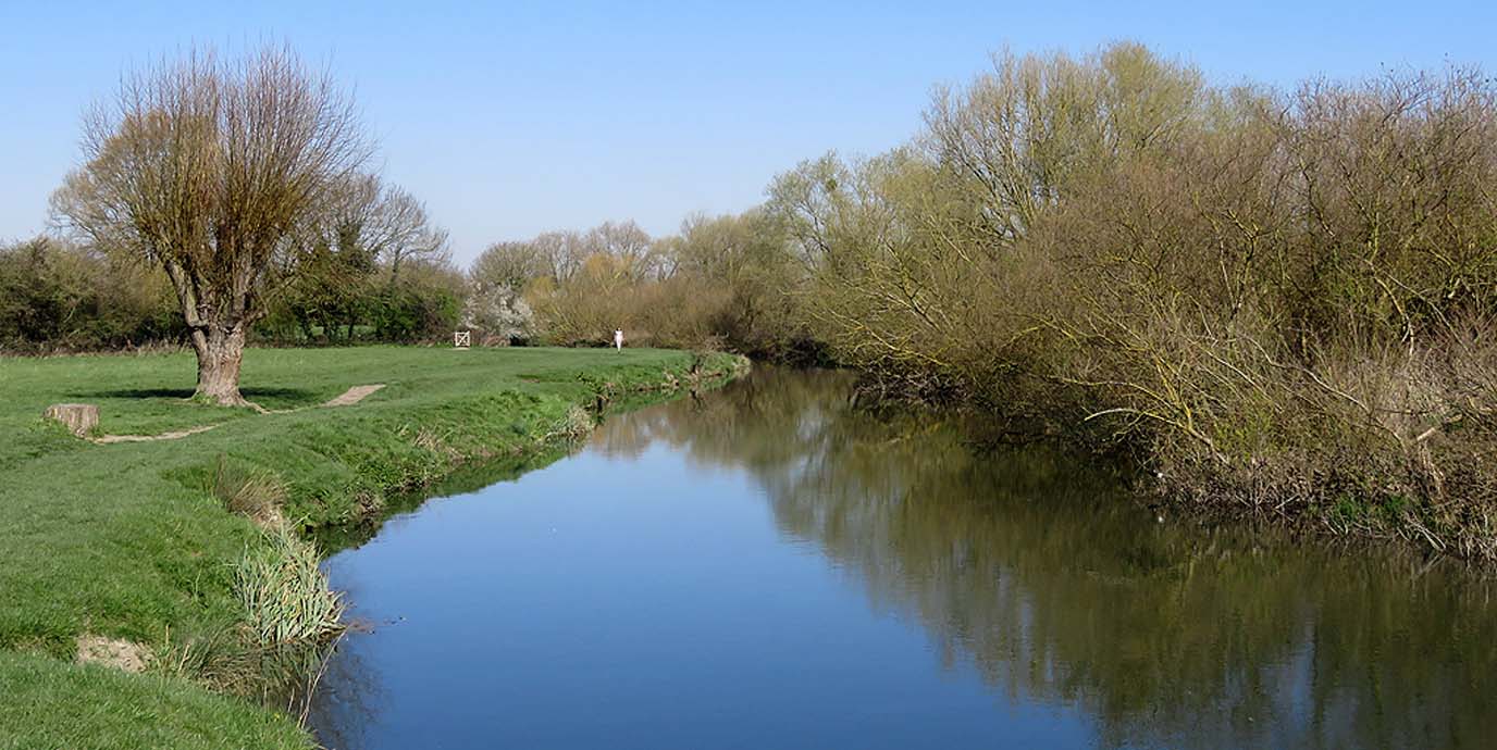 Grantchester Meadows