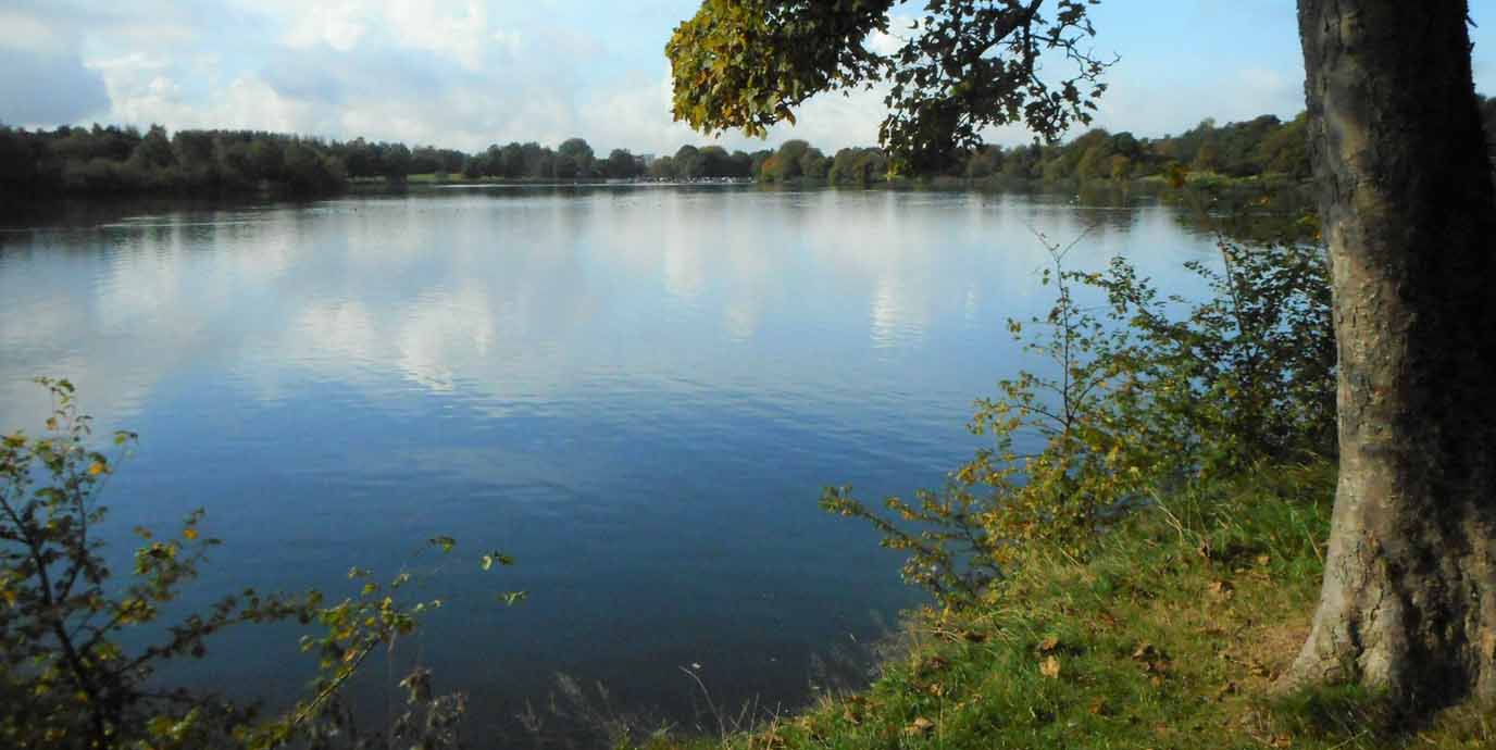 Hogganfield Loch - Seven Lochs Wetland Park