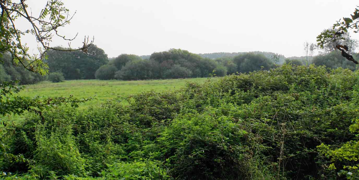 Itchen Valley Country Park