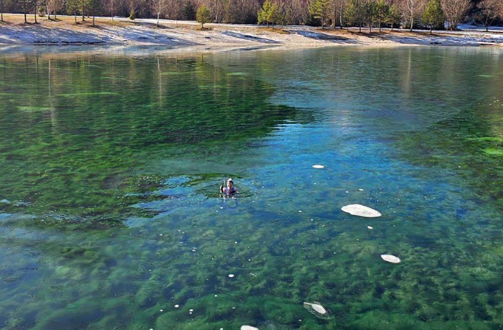 a wild swimmer breaking ice for a dip in freezing water