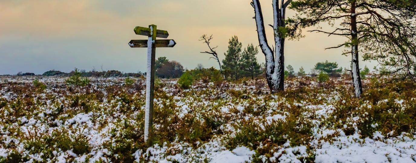A fingerpost in a winter landscape