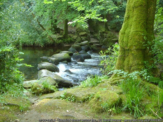 Stepping stones across the North Teign by Derek Harper