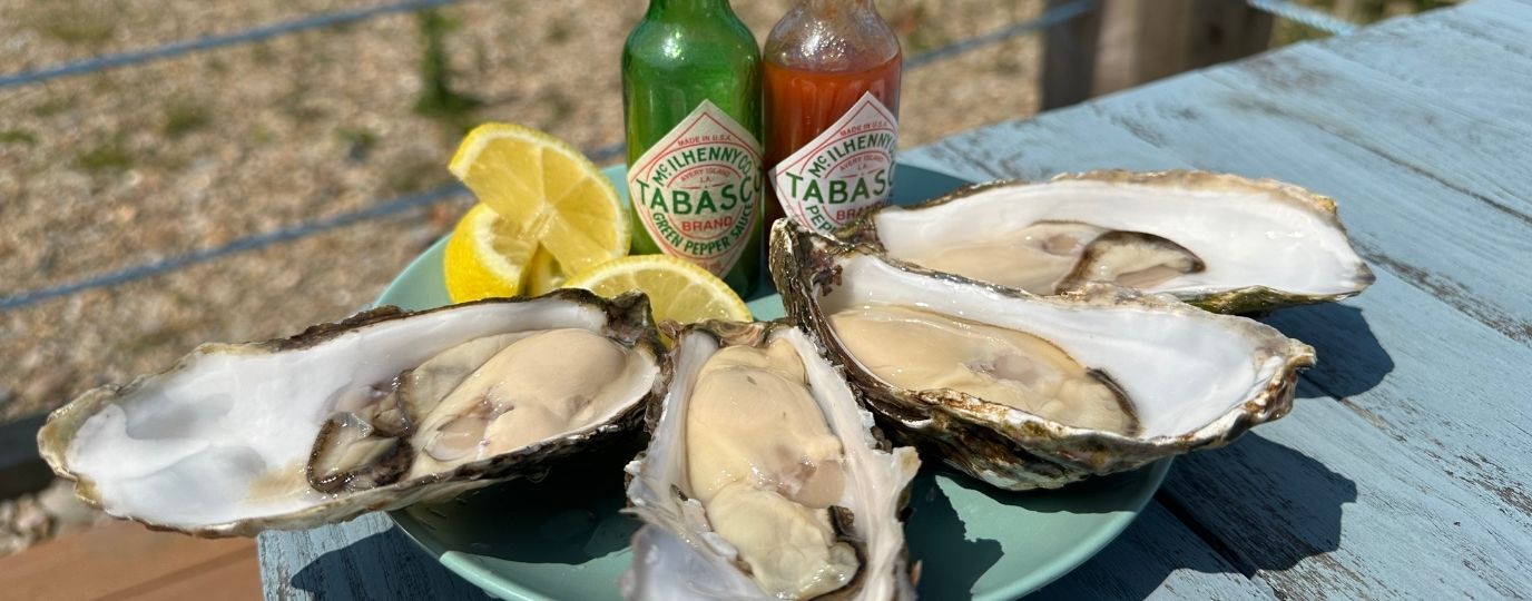 oysters on a table outside