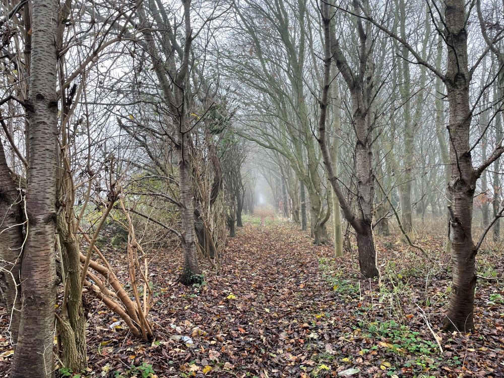 Lincolnshire Pathways