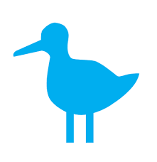 blue bird symbol