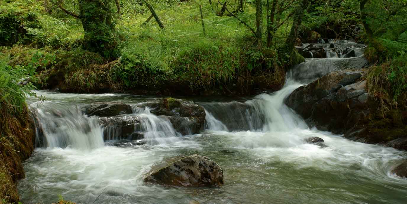Nant Gwernol Waterfall - Peter Trimming