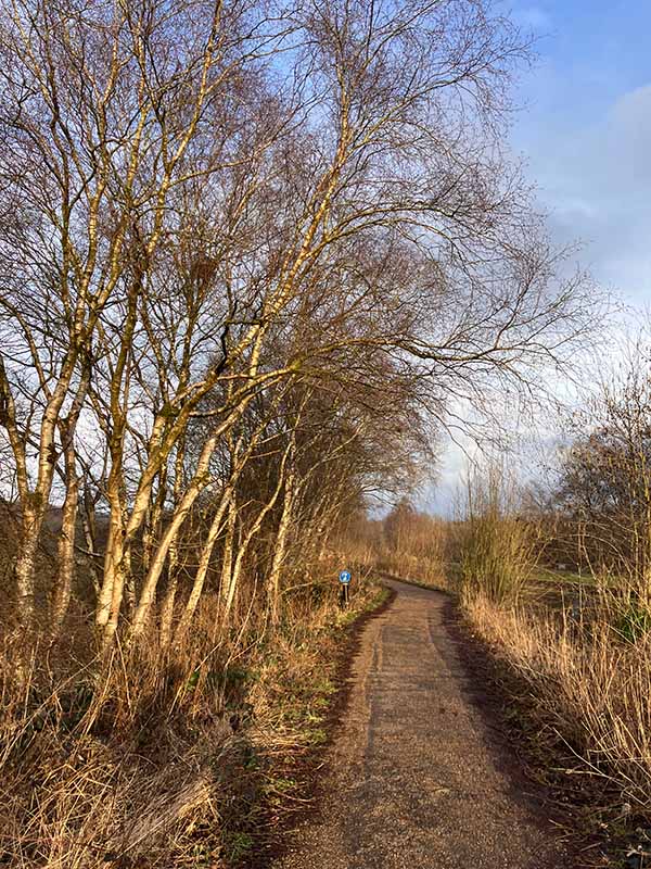 Worsley & RHS Bridgewater circular walk