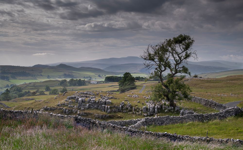 yorkshire dales dry stone walls